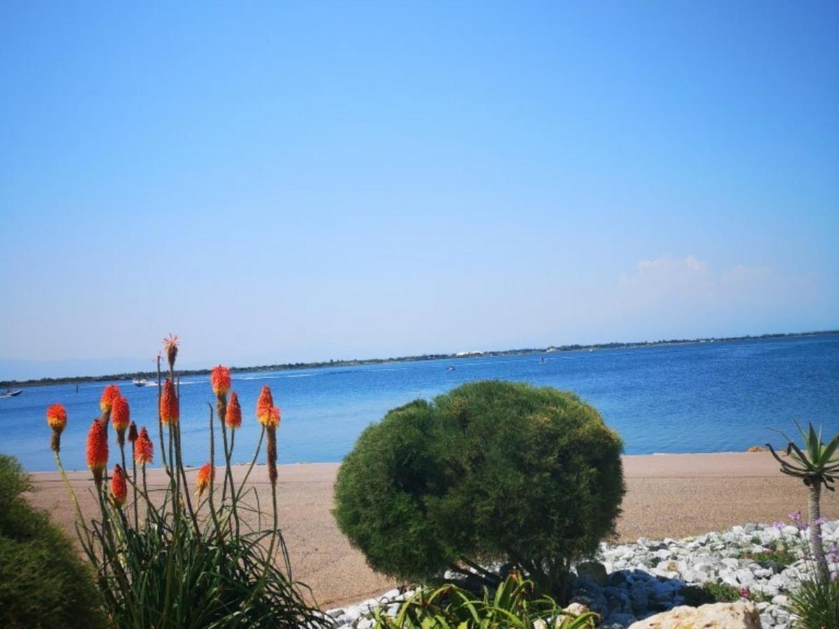 Appartement 4 Pers - Le Barcares - Piscine, Parkings, Terrains De Sport, Fitness - Fr-1-195-25 Exteriér fotografie
